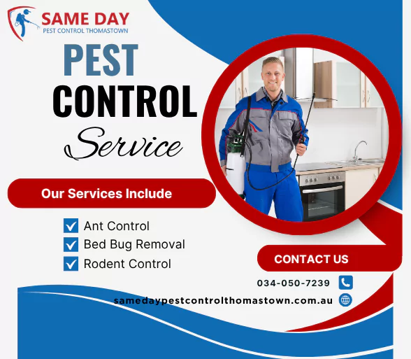 # 1 Trused Local Pest Control In Thomastown